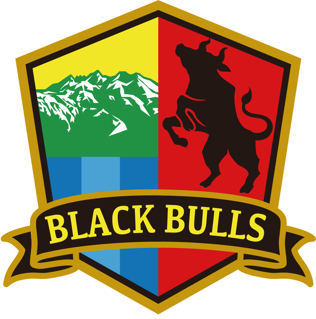 ハンドボール女子のリーグＨ、第１８節の１９日、飛騨高山ブラックブルズ岐阜はプレス...