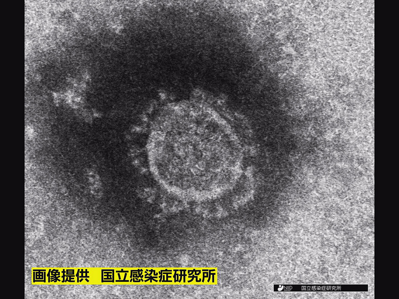 岐阜県は３０日、新型コロナウイルスの新規感染者が過去２番目に多い２８４４人、死者...