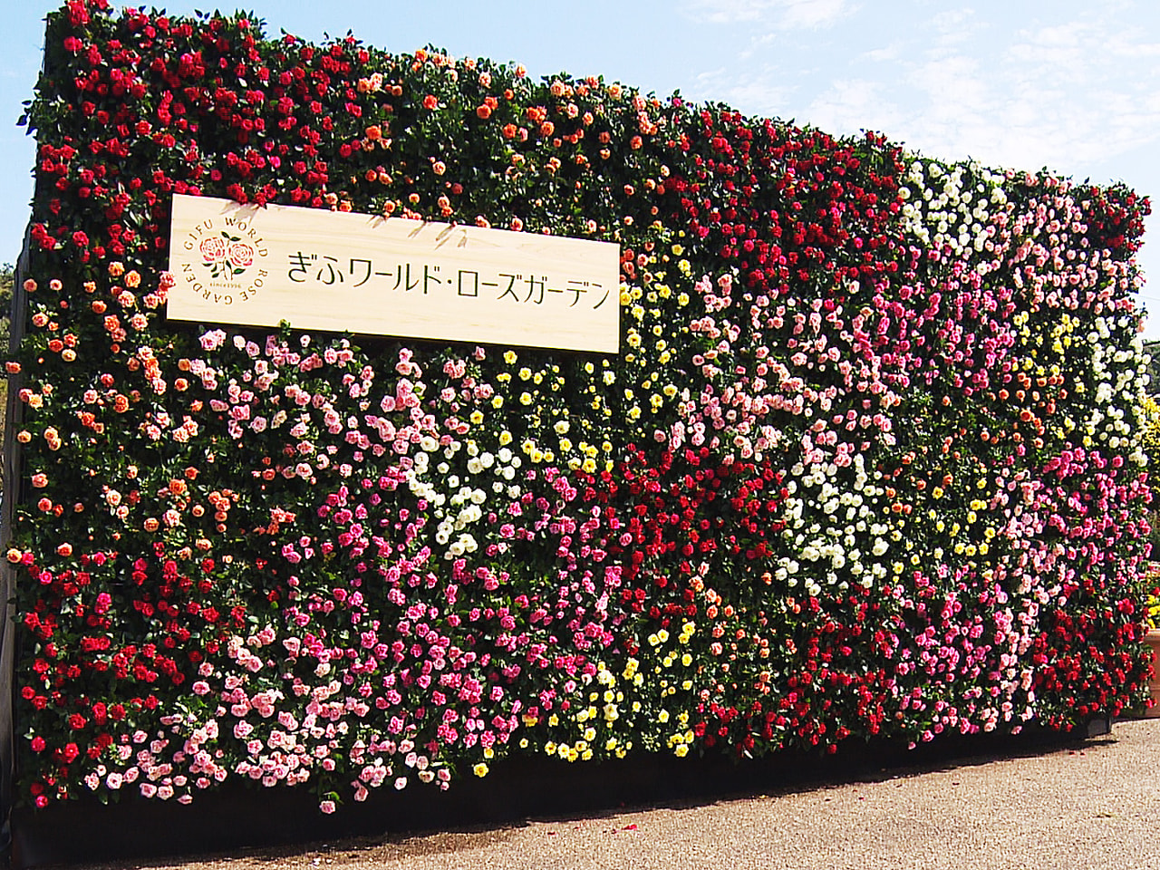 岐阜県可児市の「花フェスタ記念公園」が9日、「ぎふワールド・ローズガーデン」と名...