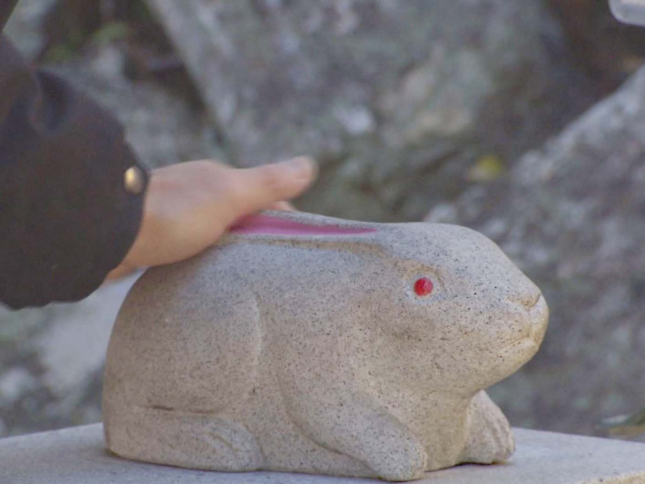 「うさぎ年」のことし。ウサギにゆかりがある揖斐川町の三輪神社は多くの参拝客でにぎ...