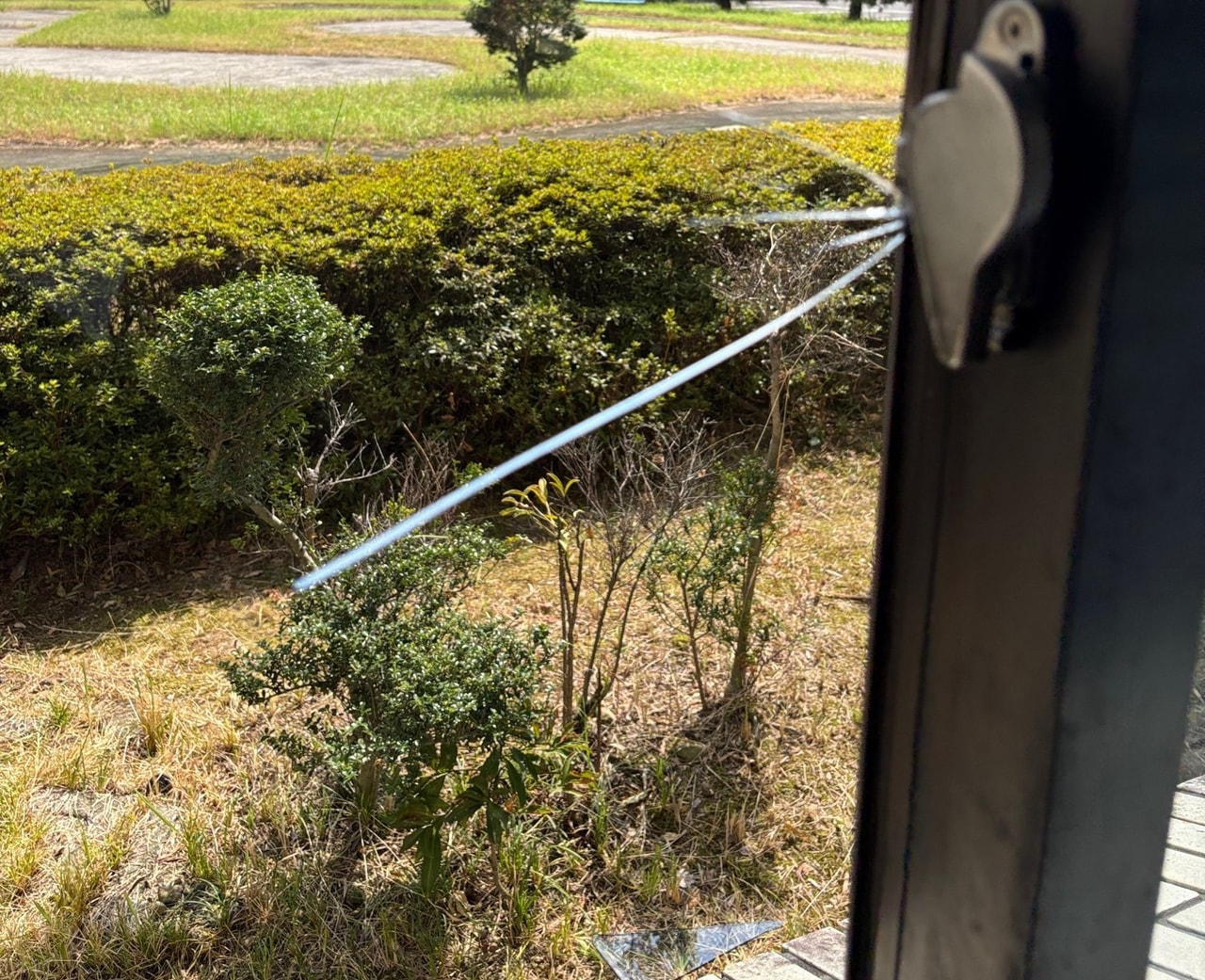 岐阜市は8日、市南部の2つの公民館で、相次いで窓ガラスが割られて建物に侵入され、...