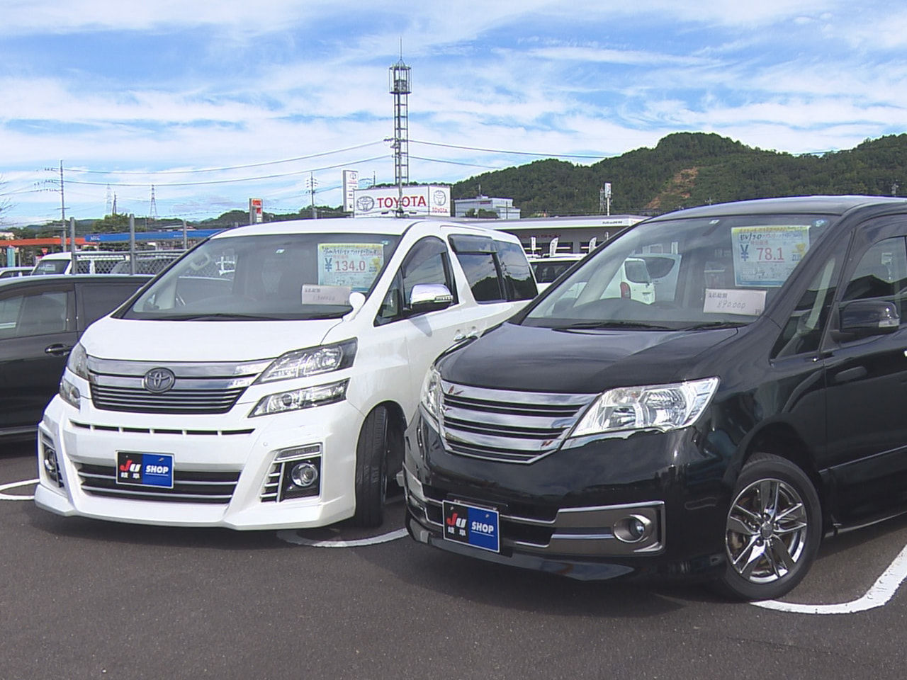 関市のJAめぐみの「とれったひろば関店」では約2年ぶりに大規模な中古車フェアが開...