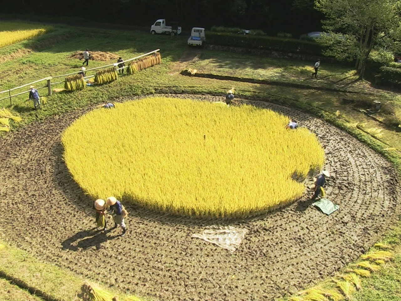 岐阜県高山市にある県の重要無形民俗文化財に指定されている伝統の丸い田んぼ「車田(...