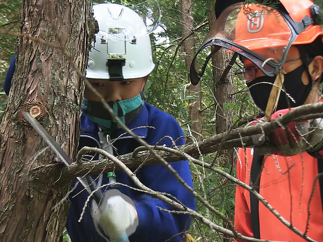 子どもたちに森林整備の大切さを学んでもらおうと、下呂市の小学校で間伐や枝打ちを体...