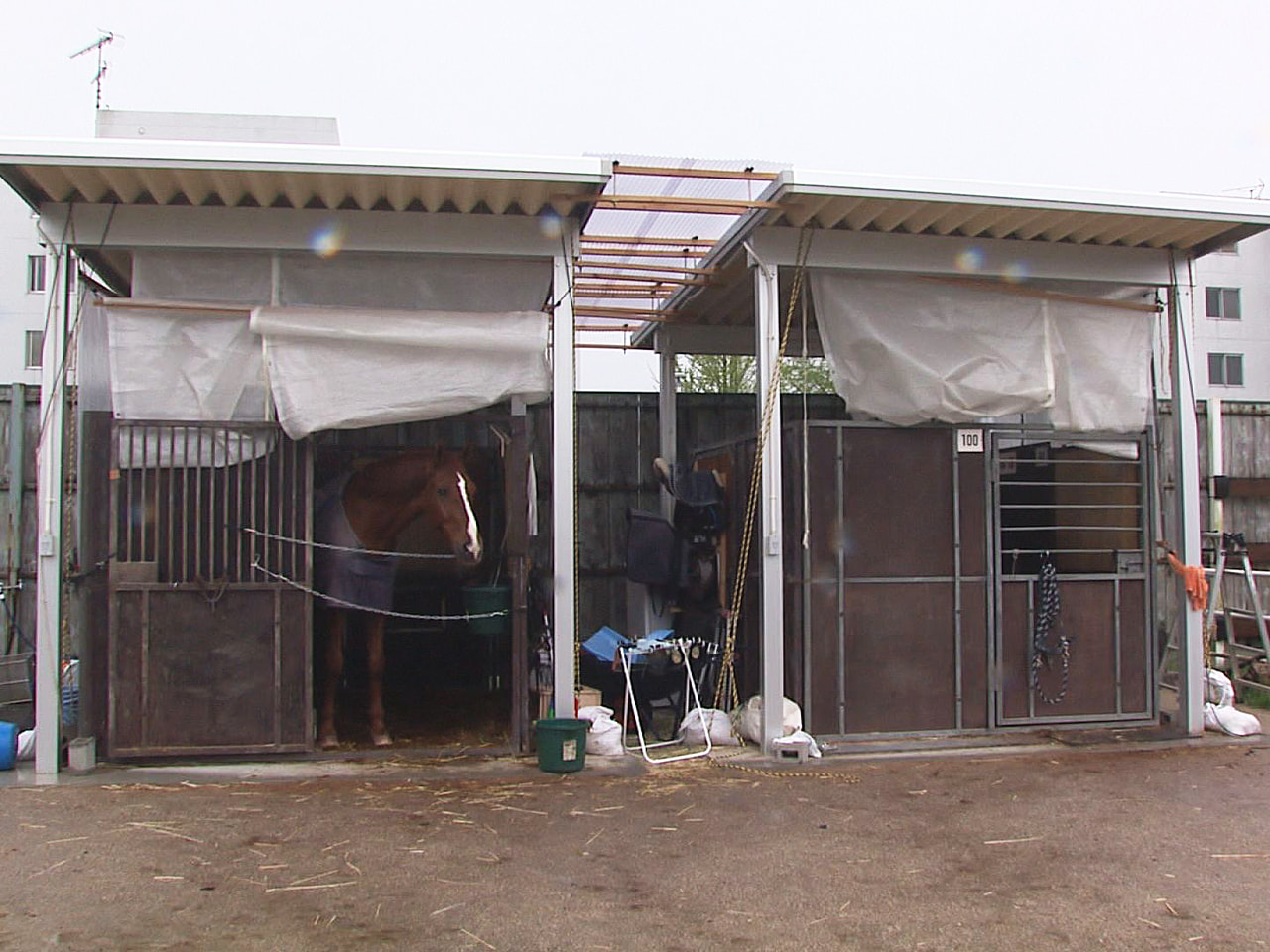 火災で焼失した岐阜大学馬術部のきゅう舎の再建に役立ててもらおうと、JAぎふは13...