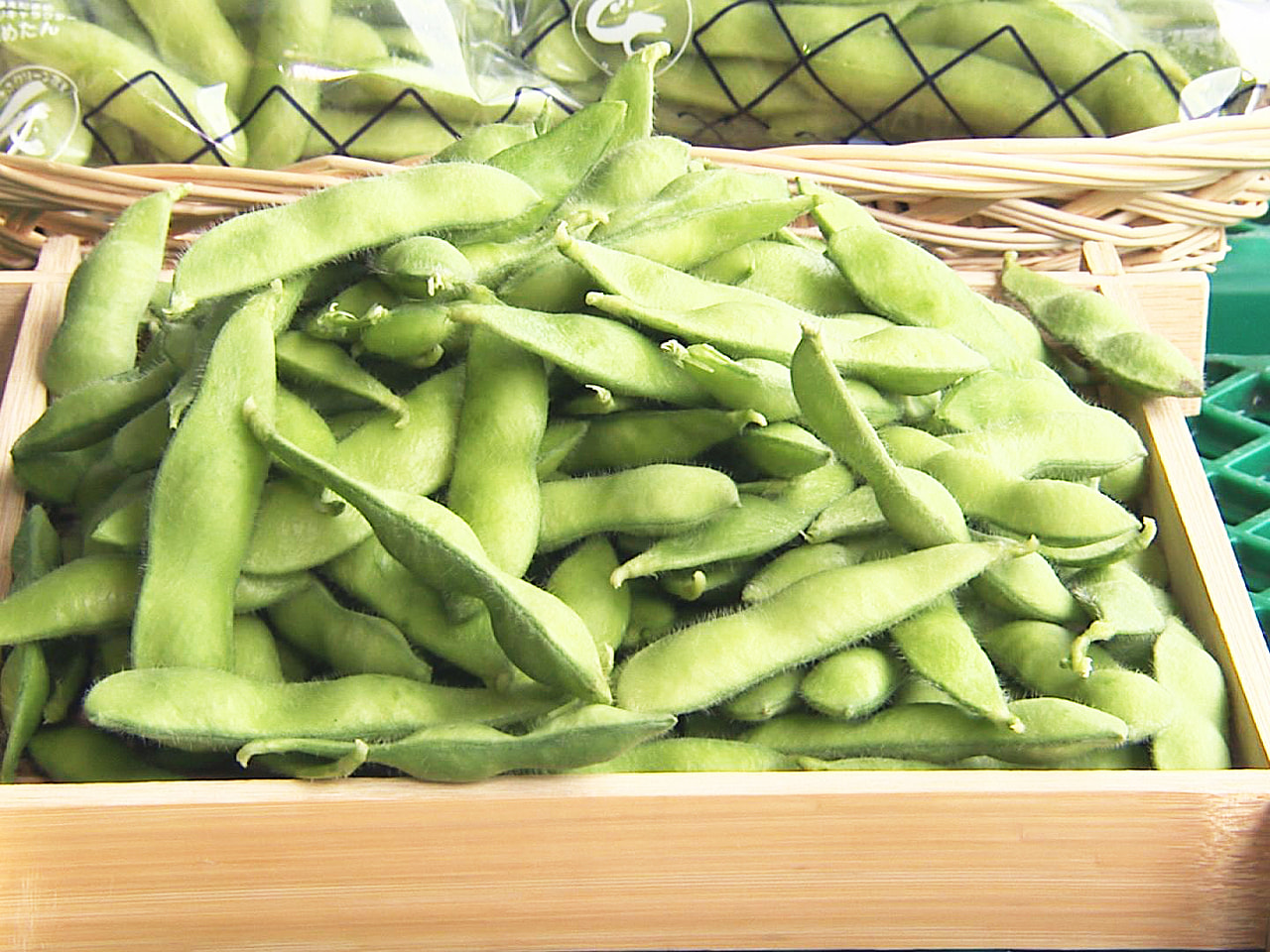 岐阜市特産の「岐阜えだまめ」の出荷が16日、JAぎふ枝豆選果場で始まりました。 ...