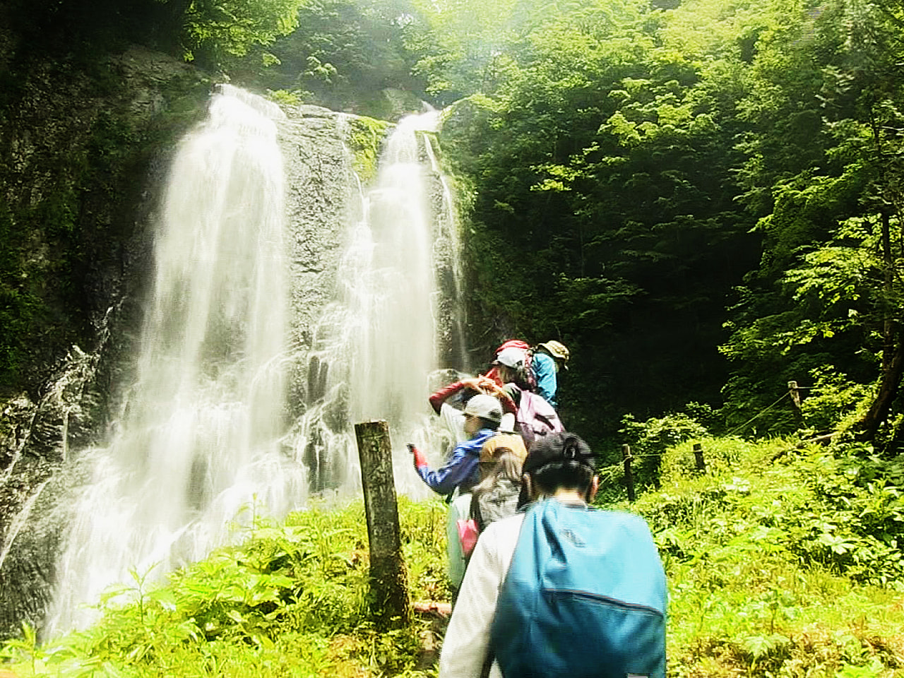 岐阜市の市橋小学校の6年生が、飛騨山脈乗鞍岳の高山市側の裾野、約3000㌶に広が...