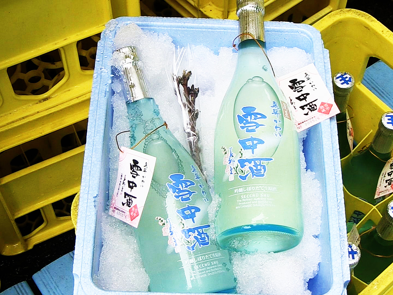 雪の中で熟成させた「雪中酒」の出荷作業が、岐阜県飛騨市で始まりました。 雪中酒は...