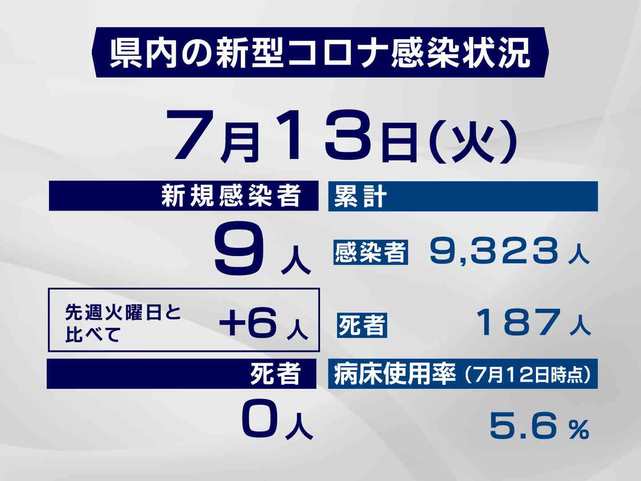 岐阜県と岐阜市は13日、新型コロナウイルスの感染者が新たに9人確認されたと発表し...