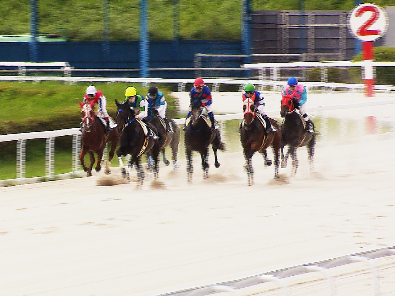 騎手らによる馬券の不正購入など不祥事が相次ぎ、1月からレースを中止している笠松競...