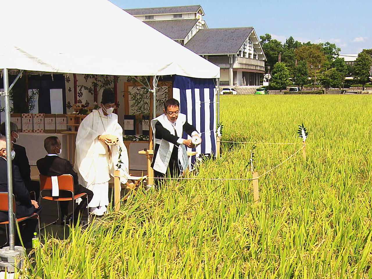 11月に皇居で行われる「新嘗祭(にいなめさい)」に献上する米の収穫を前に「抜穂祭...