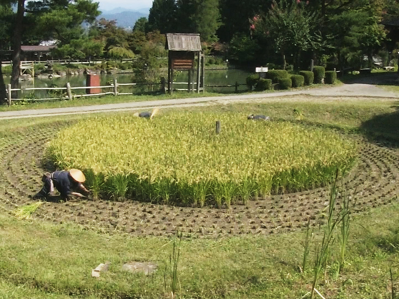 新型コロナウイルスによる緊急事態宣言で9月末まで臨時休館している岐阜県高山市の観...