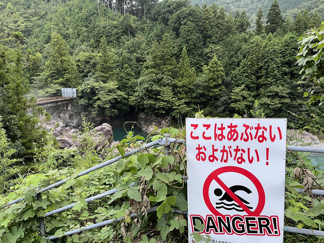 23日午後、関市の板取川で、遊泳中に流され行方が分からなくなっていた名古屋市の1...