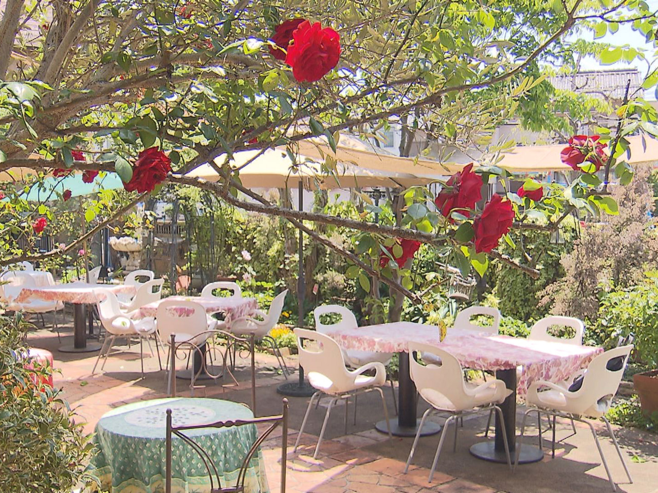 岐阜市でヨーロッパ風のレストランなど４つの施設を運営する「薔薇舘」では、色とりど...