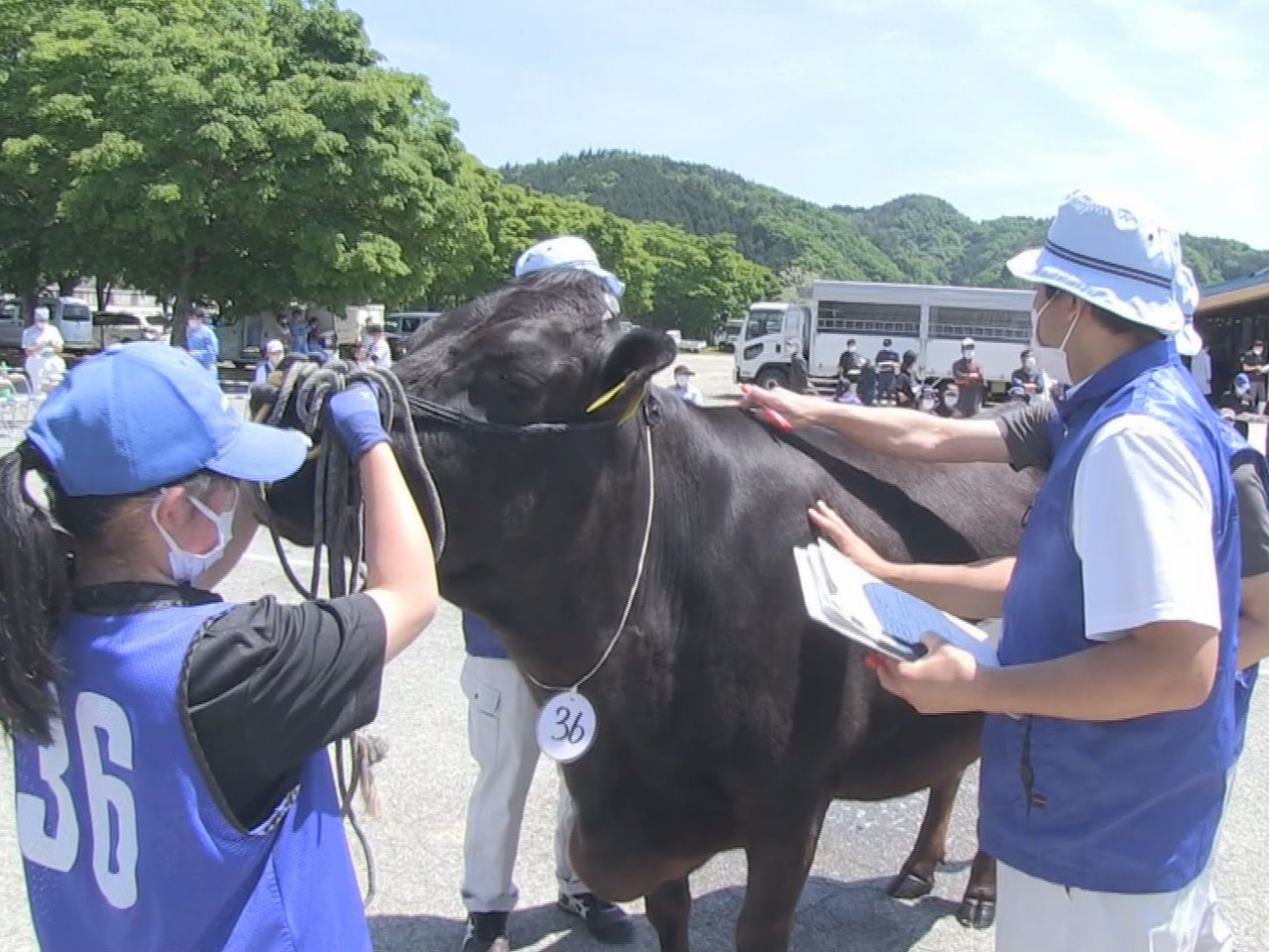 2022年10月に鹿児島県で開催される「全国和牛能力共進会」に出品する飛騨牛の最...