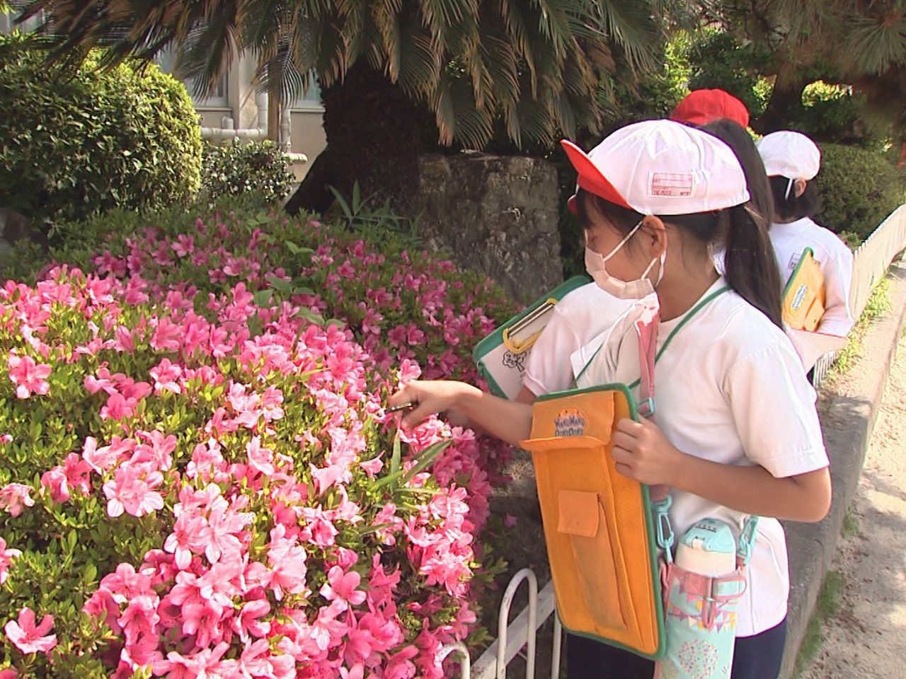 学校の校庭にあるさまざまな木に親しむ授業が２５日、岐阜市の小学校で行われました。...