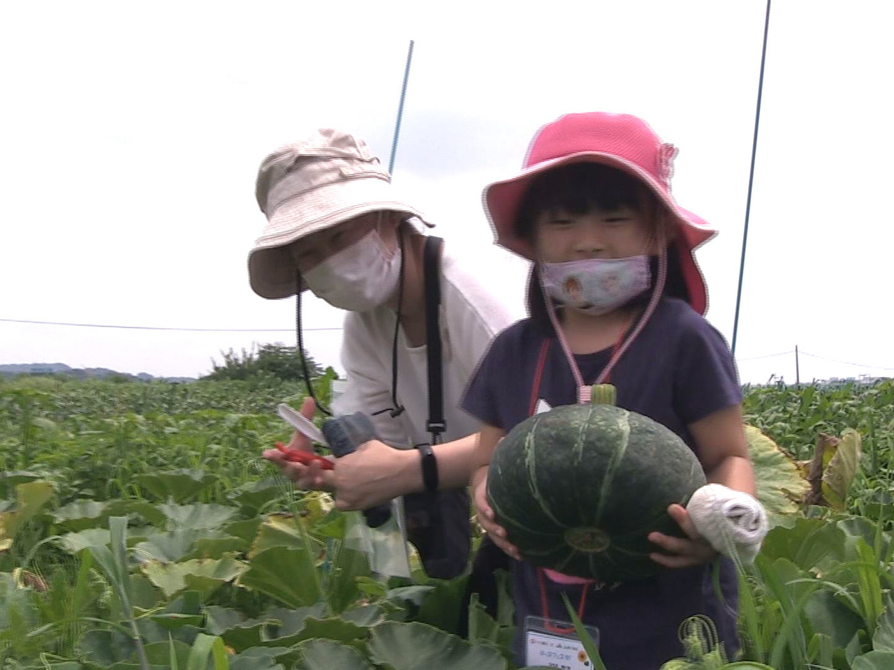 子どもたちが楽しみながら農業やお金の役割について学ぶ体験イベントが９日、加茂郡富...
