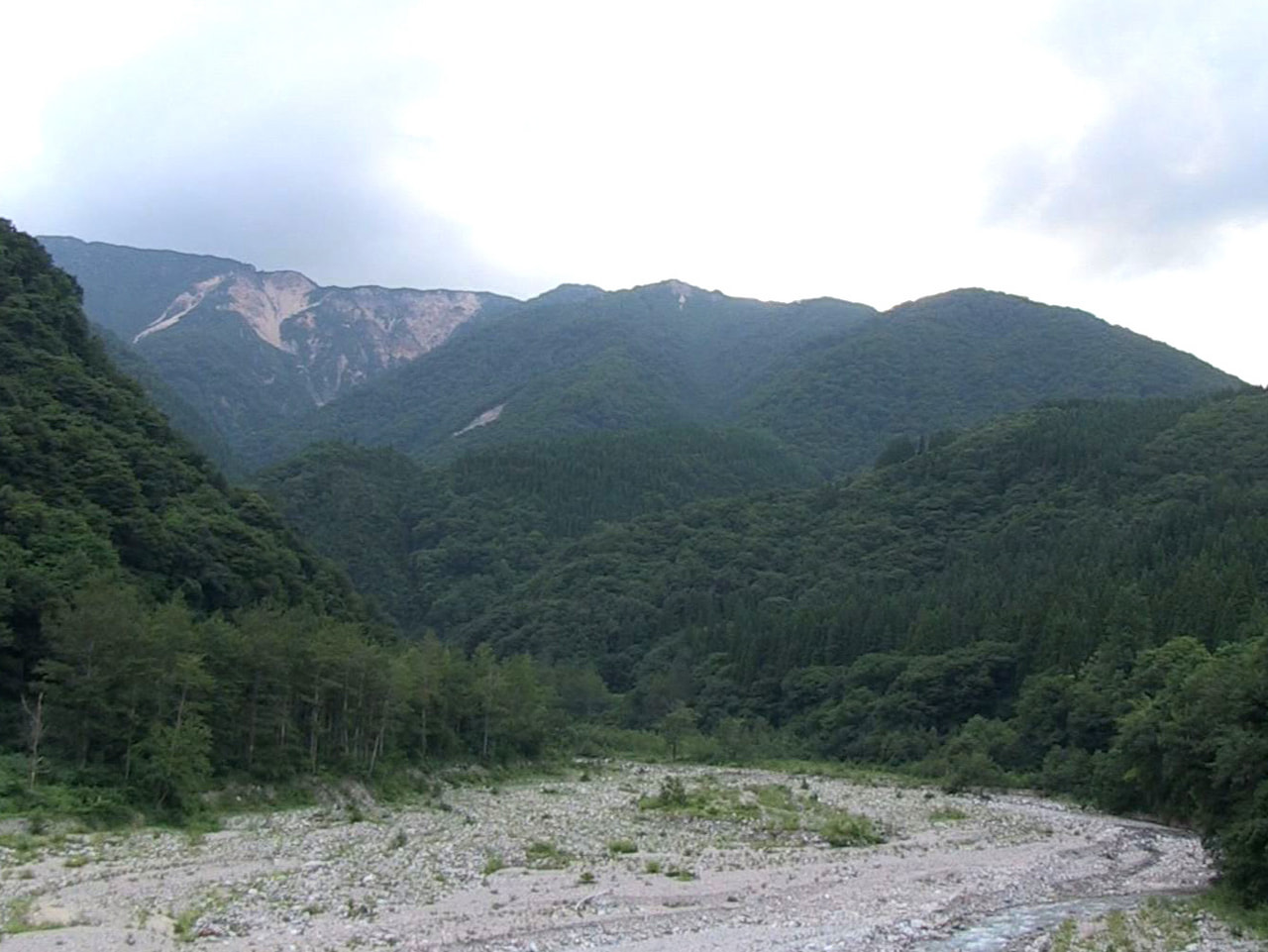 大野郡白川村の山中で７日から、静岡県の７９歳の男性が行方不明になっています。 警...