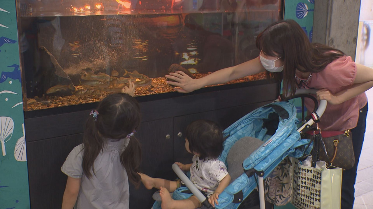 岐阜の夏を象徴する「鵜飼」をテーマにした水槽が、各務原市の世界淡水魚園水族館アク...