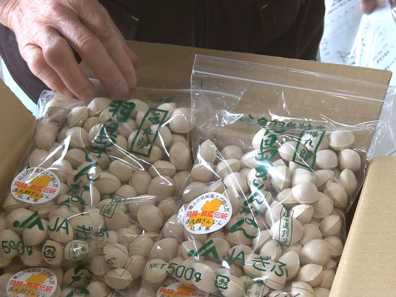 岐阜県内有数のギンナンの産地・羽島市で5日、「羽島ぎんなん」の今シーズンの出荷が...