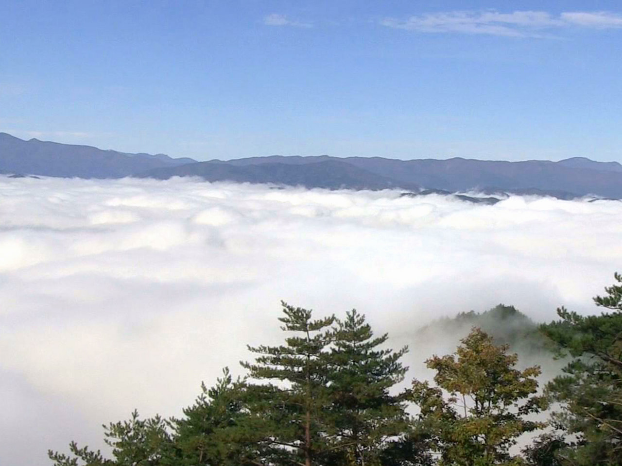 県内は２１日朝も１１月上旬並みの冷え込みとなり、飛騨市古川町では秋の風物詩「朝霧...