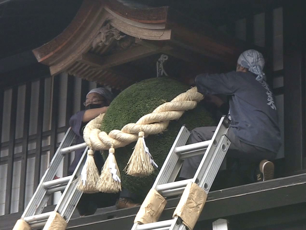 飛騨市の酒造店で11月1日、新酒が出来たことを知らせる軒下の「杉玉」が新しいもの...