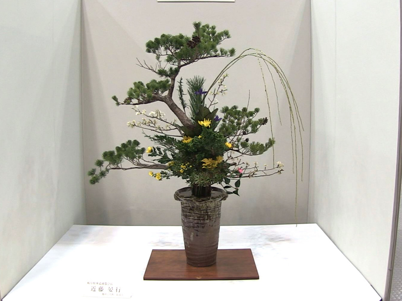 岐阜県内の華道家が手掛けたいけ花を一堂に集めた展示会が、４年ぶりに 岐阜市で始ま...