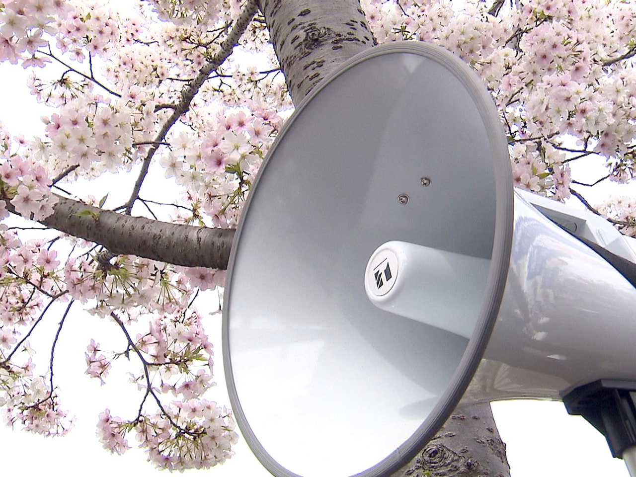 ３１日に告示された岐阜県議会議員選挙は、午後５時に立候補の届け出が締め切られ、２...