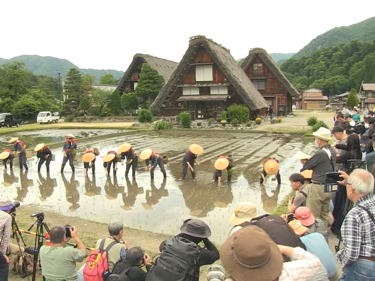 世界文化遺産の白川郷合掌造り集落がある大野郡白川村で３１日、「第３８回白川郷田植...