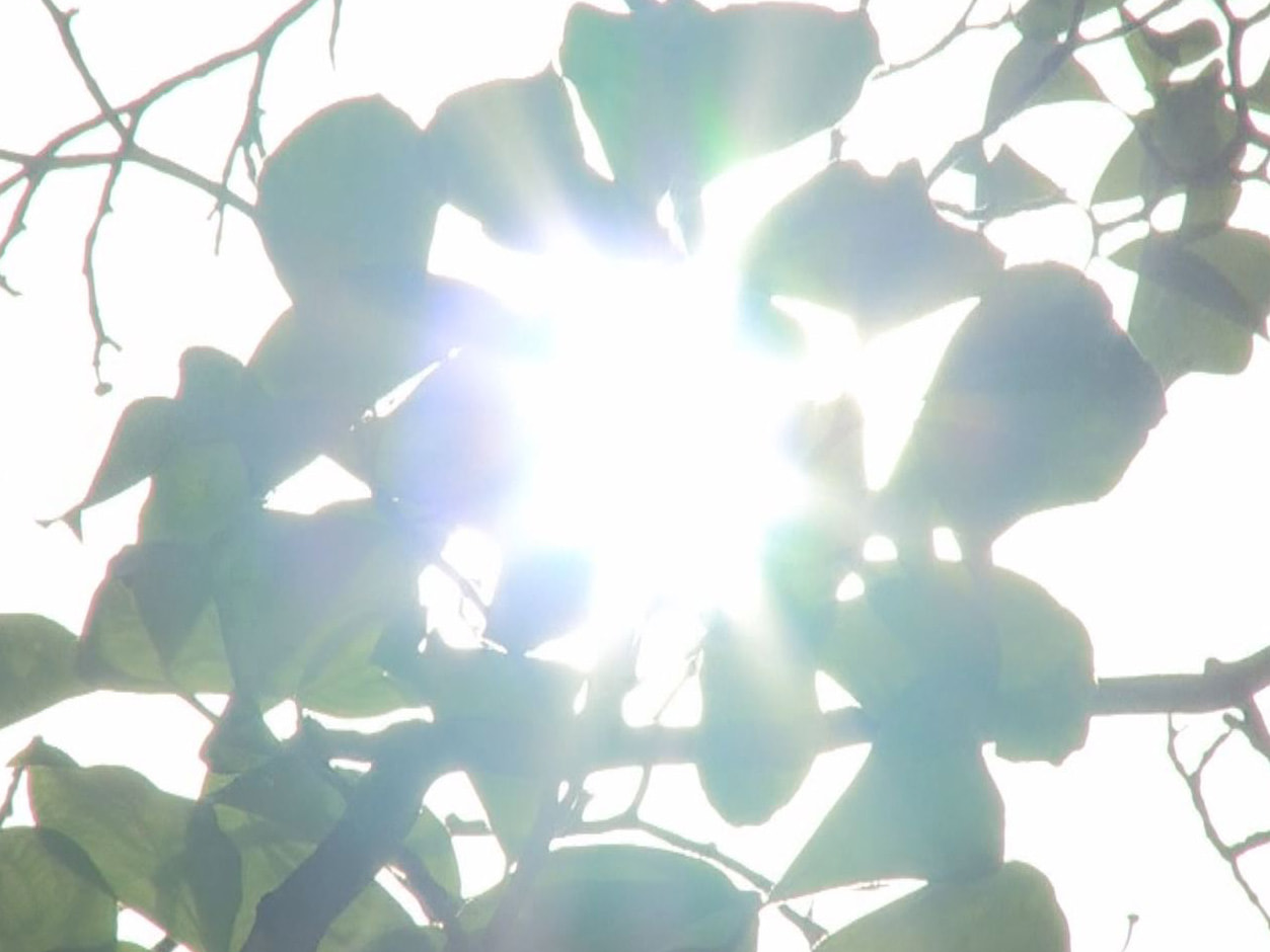 県内は6日、よく晴れて強い日差しが照り付け、山間部を中心に気温が上昇しました。 ...