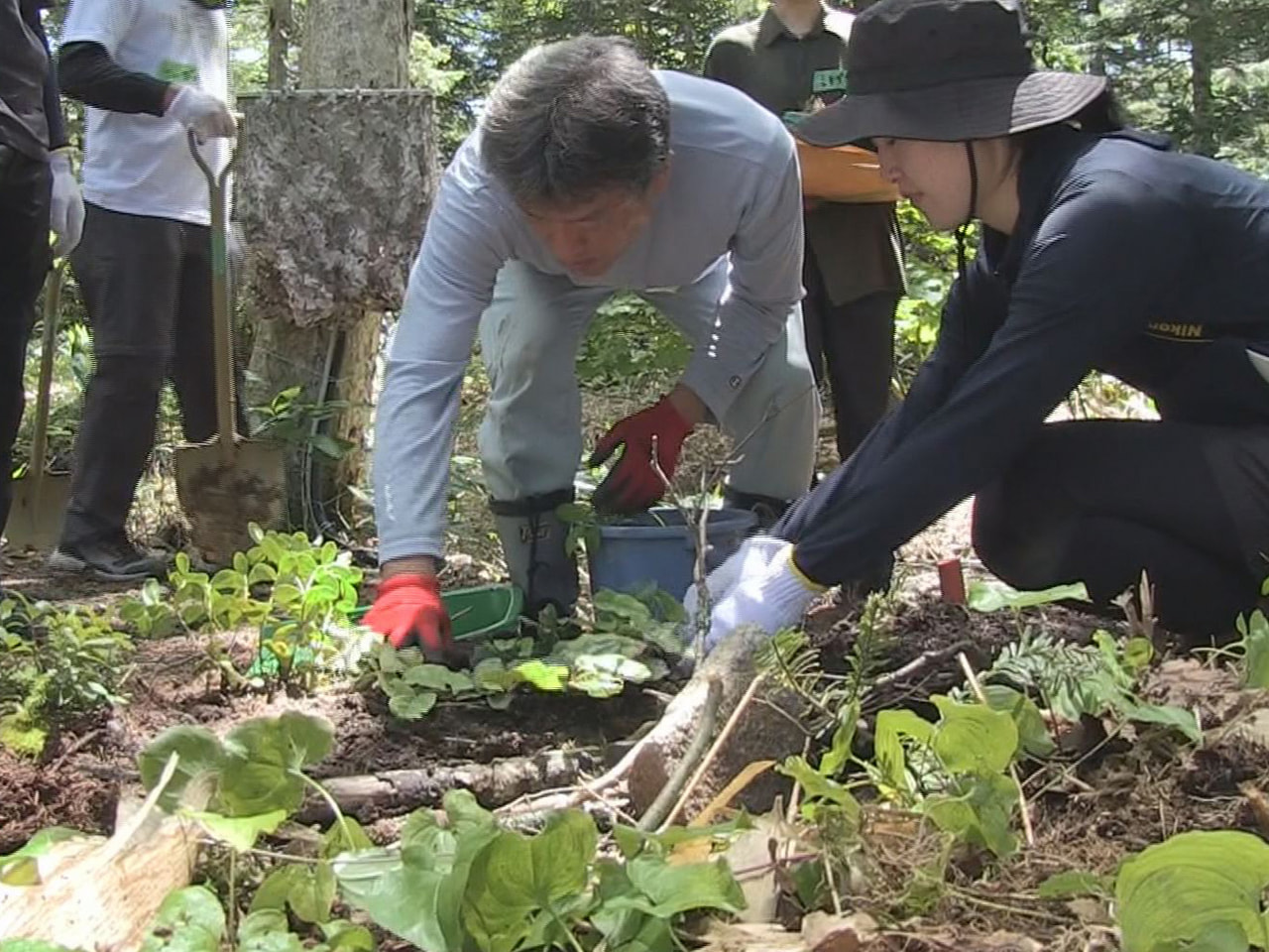 リニューアルに向けた工事が進められている高山市の新穂高ロープウェイの山頂駅周辺で...