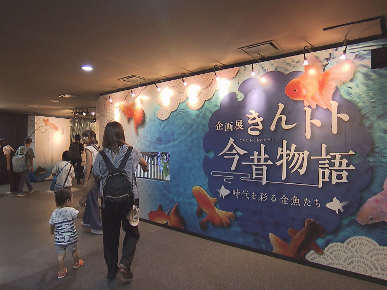 江戸時代から観賞魚として親しまれている金魚を岐阜の伝統文化と合わせて紹介する企画...