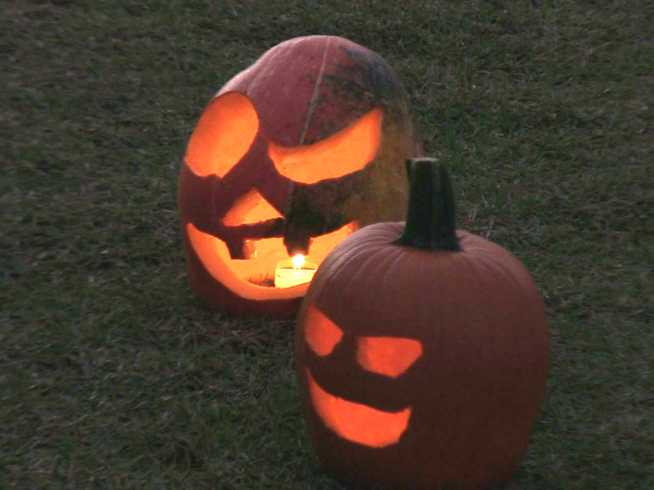 岐阜県高山市の中学生が、地元の道の駅でかつて行われていたハロウィーンイベントを復...