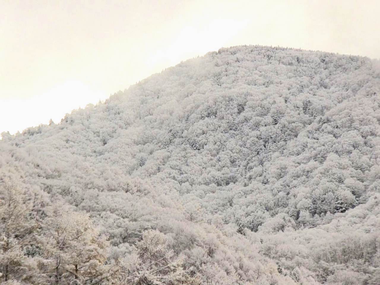 岐阜県高山市奥飛騨温泉郷など、標高の高い地域では、１２日からの冷え込みで雪が降り...