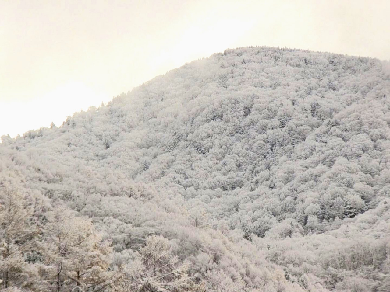 岐阜県高山市奥飛騨温泉郷など、標高の高い地域では、12日からの冷え込みで雪が降り...