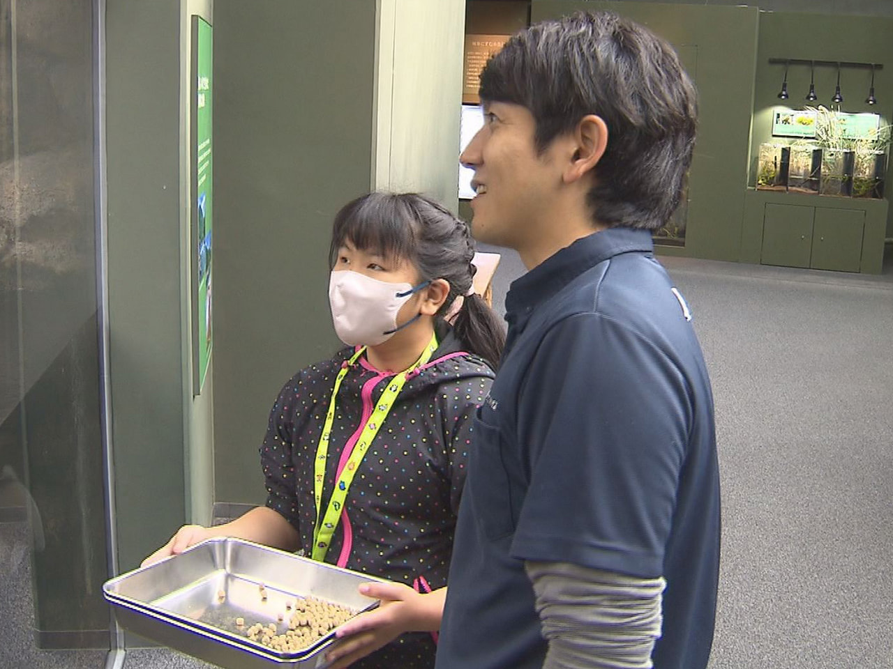 勤労感謝の日（１１月２３日）に合わせて各務原市の水族館で、飼育係の仕事を小中学生...