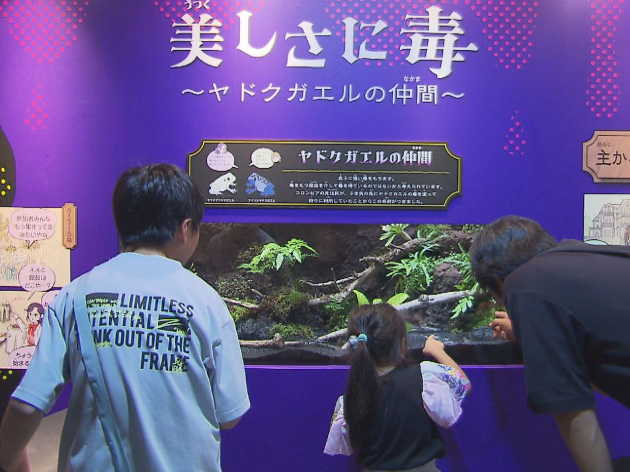 世界各地の毒を持つ生き物を楽しく学べる企画展が各務原市のアクア・トトぎふで開かれ...