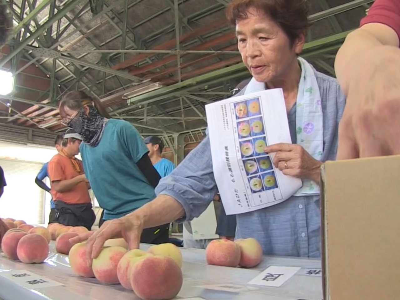 飛騨産の桃「白鳳(はくほう)」の本格的な出荷が始まるのを前に、出荷基準をそろえる...