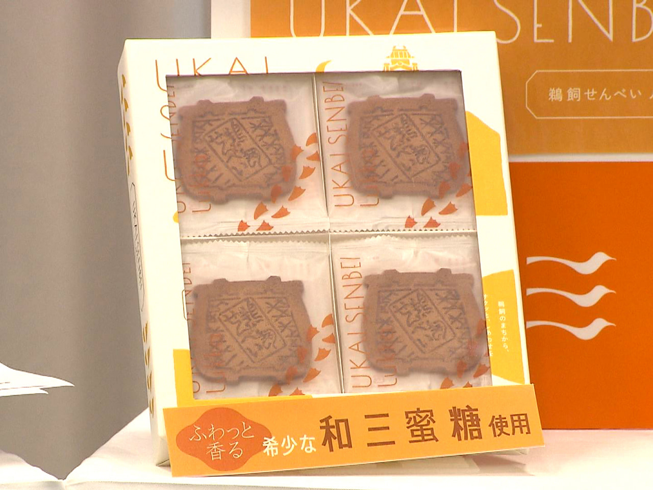 岐阜商工会議所の会員企業が新商品・新サービスをお披露目する発表会が岐阜市で開かれ...