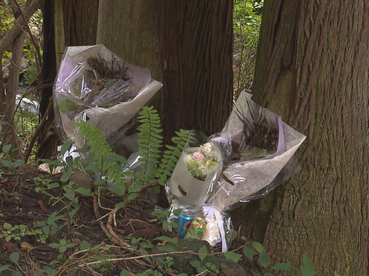 本巣市の山林で女性の遺体が見つかった事件で嘱託殺人などの罪で起訴された岐阜市の男...