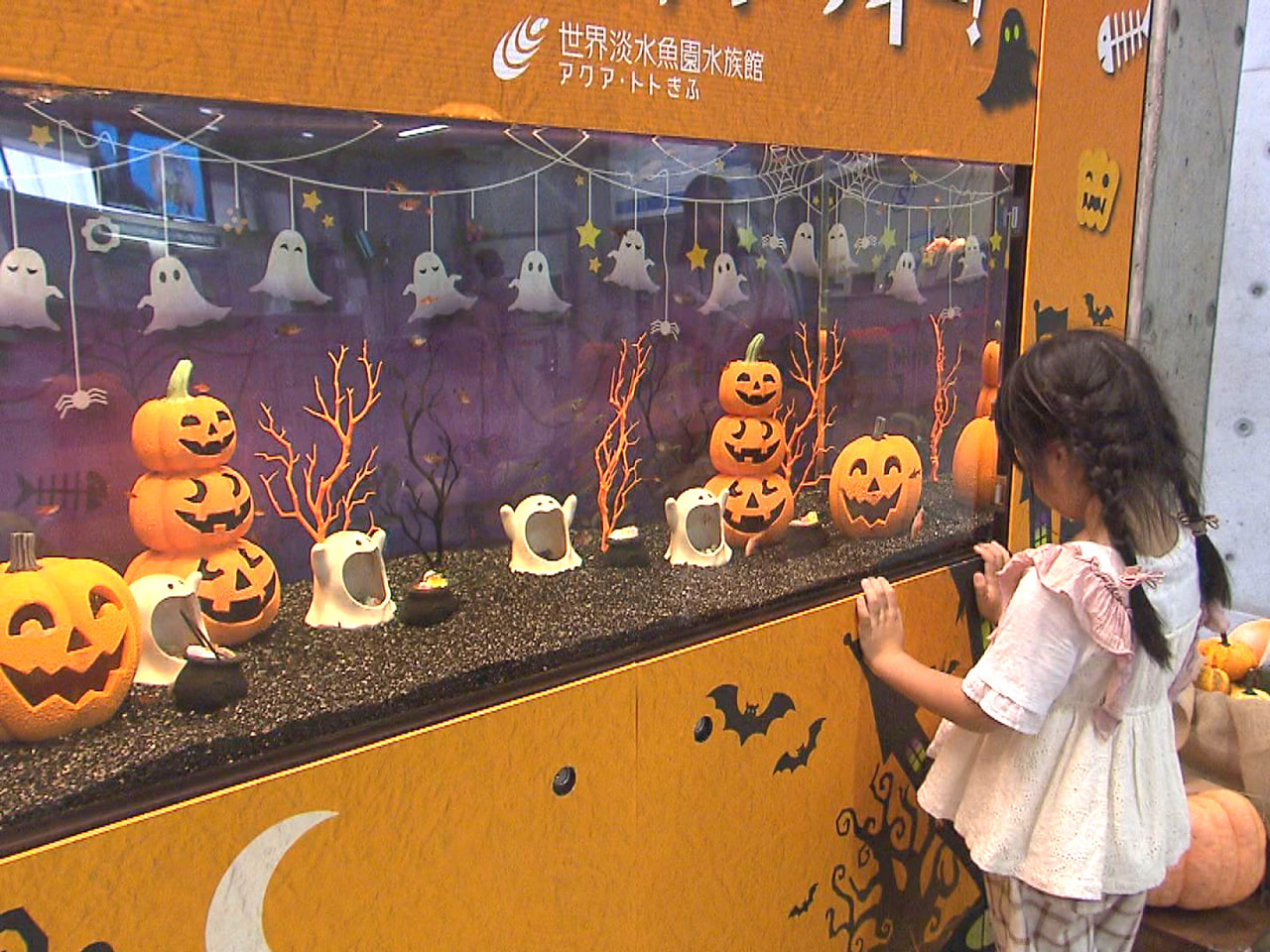 各務原市の水族館でハロウィーンをテーマにした水槽が訪れた人を楽しませています。 ...