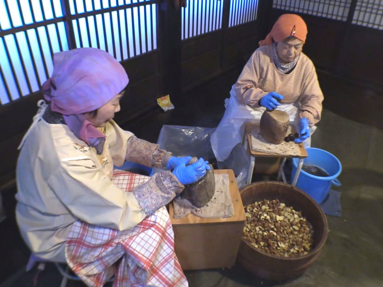 岐阜県大野郡白川村の野外博物館「合掌造り民家園」で、特産品の栃餅に使う「栃の実」...