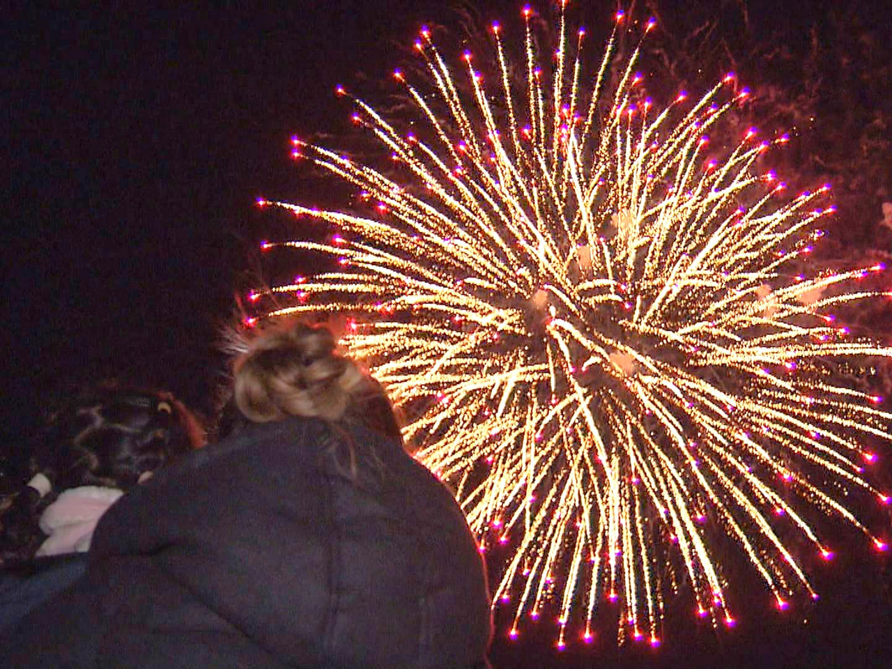夜空に咲く大輪の花。入院する子どもたちや支える家族を励ます「エールの花火」が岐阜...
