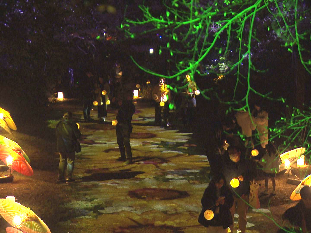 岐阜市の岐阜公園を光が彩る「ぎふ灯り物語２０２６」が始まり、訪れた人が幻想的な世...