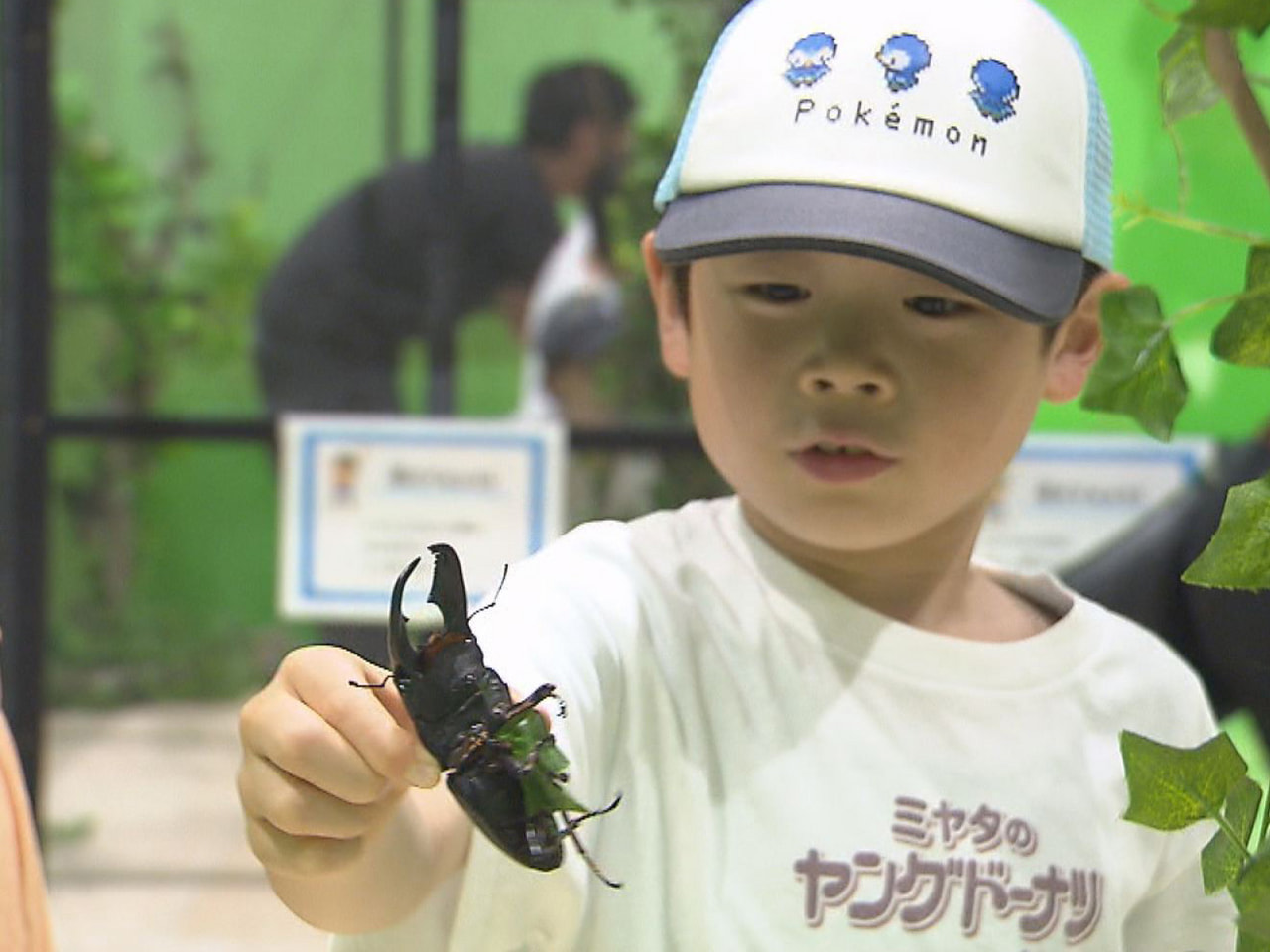 岐阜市のマーサ２１で、昆虫を見て、触って、学べる企画展が開かれていて、夏休みを過...