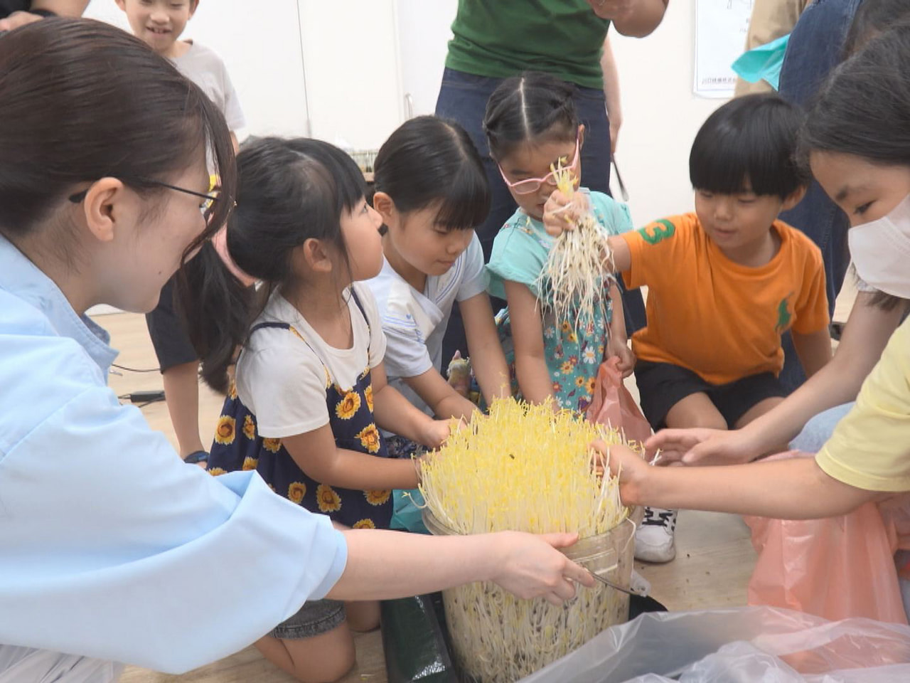 子どもたちの夏休みの自由研究に生かしてもらおうと、県内で野菜の生産・販売を行うサ...