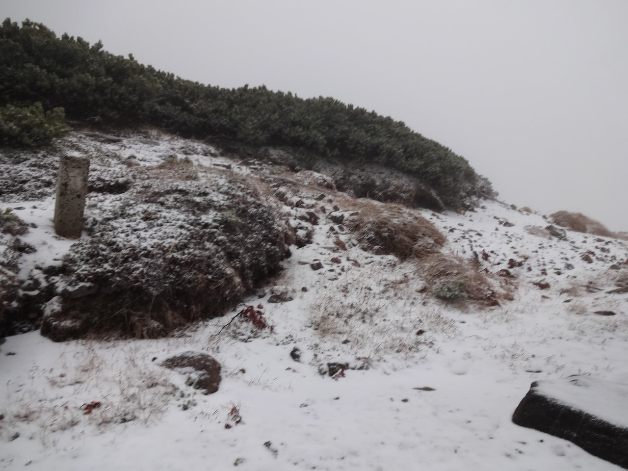 高山市の北アルプス乗鞍岳で19日、初雪が観測されました。 去年より2日遅いという...