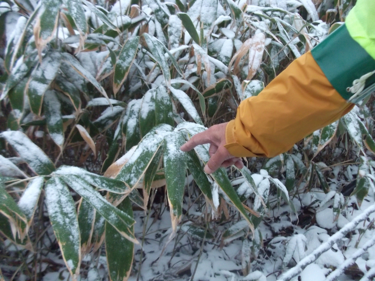 岐阜県と長野県にまたがる北アルプスの乗鞍岳では２８日、今シーズンの初雪が観測され...
