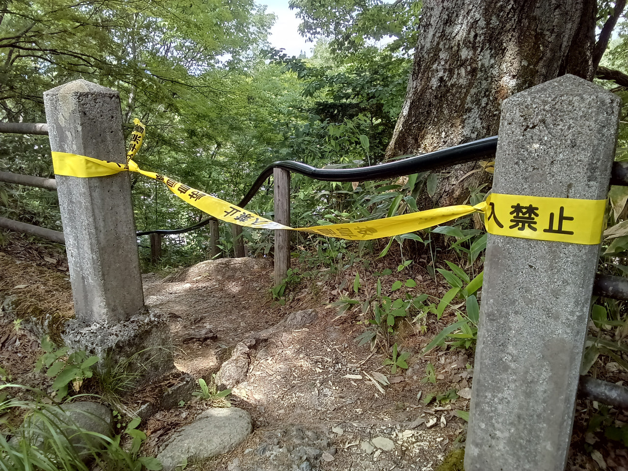 ３１日午前、高山市の城山山林で人骨が見つかりました。 ３１日午前８時半ごろ、高山...