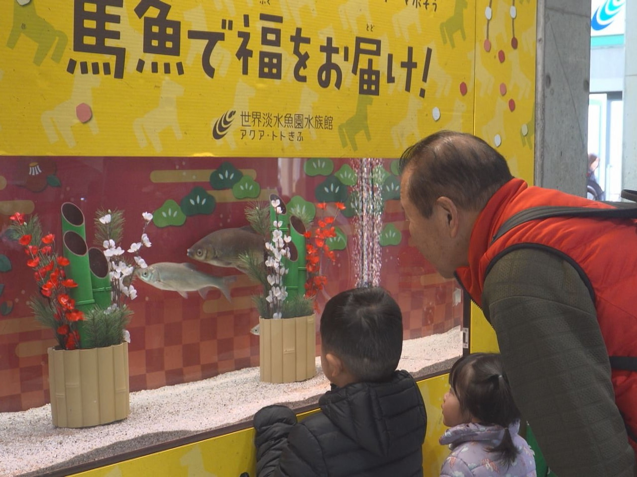 各務原市の水族館ではことしの干支の「午」にちなんだテーマ水槽が訪れた人を楽しませ...